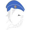 Ana Mains