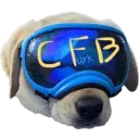 CFBcord