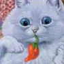 18+ Spicy Cat Roleplay Server
