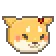 Shibes