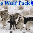 The Wulf Pack
