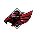 Aalborg Rebels