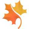 Autumn Leaf