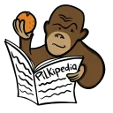 Pilkipedia