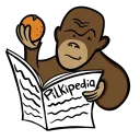 Pilkipedia is 20