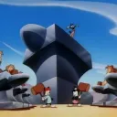 Anvilania