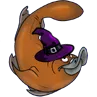 The Platypus Den