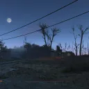 Fallout Barrenwood