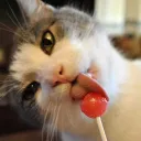 Lollipop's Chill Zone
