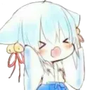 PKFDS