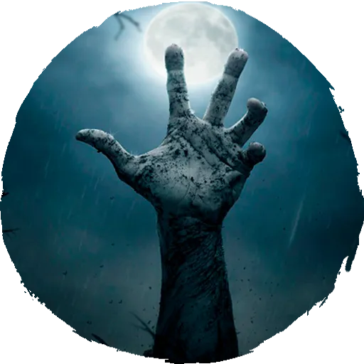 Survive the game — мониторинг Discord сервера, статистика и рейтинг