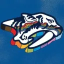 Nashville Predators