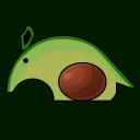 Avocado Pit