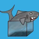 Shark's Aquarium
