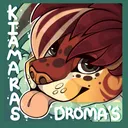 Welcome to Kiamaras