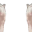 Weefinity