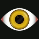 Church of the Yellow Eye