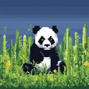 🐼Pandorium🐼