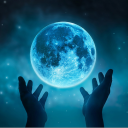 Master's Magical Menagerie