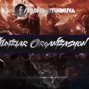 YILDIZLAR  ORGANİZASYON