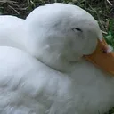 木漏れ日の宿
