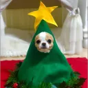 Dubudog 電動間