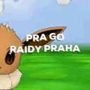 PRA GO  -  RAIDY Praha