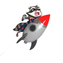 The Raccoon Moon