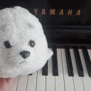 Sealcord 🦭