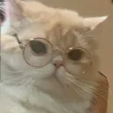 pew ehe