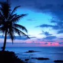 Hawaii Hangout
