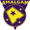 Amalgamated Fandom