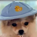 Nexomon