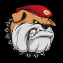 Fighting Furies UK