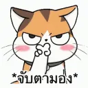 MeowMeowKittySuckIt