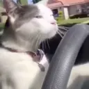 Escape ze Matrix