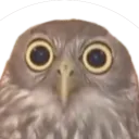 RL Twitch Rank Command