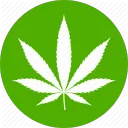 The Joint's icon