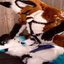 FursuitS