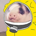 Piggy Hangouts