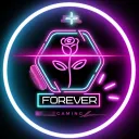 Forever Gaming