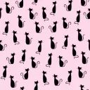 Kitty Kingdom