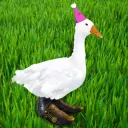 The Flock