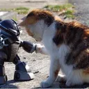 ぜろくんのカイゴピア