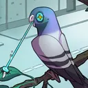 Frigeons