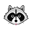 The Trash Pandas