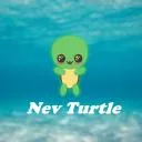 Nev Turtle's Server(deleting soon)