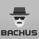uBachusa Discord Server Icon
