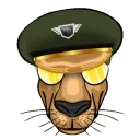 TorniQuetHD