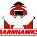 Barnhawks